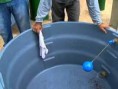 /album/galeria-de-fotos-limpesa-de-caixa-dagua/cax4-jpg/